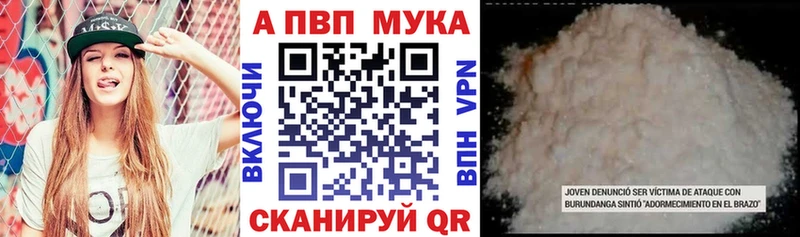 Купить  Борзя  A PVP СК КРИС 