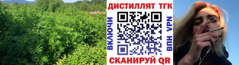 Дистиллят ТГК Wax  Купить где  Борзя 