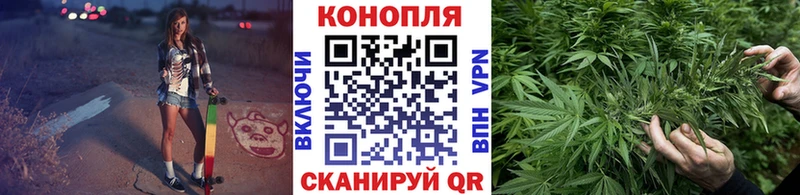 Купить закладки  Борзя  Канабис тримм 